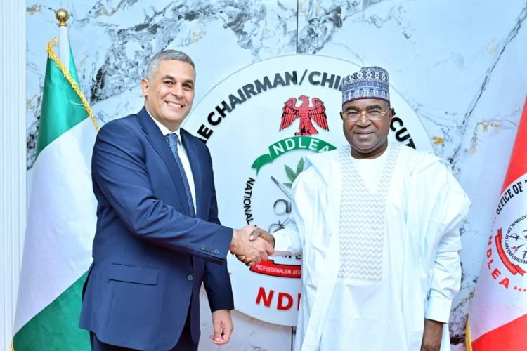 Nigeria and Egypt Unite Against Rising Drug Trafficking Threats