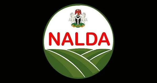 Kwara's Agroforestry Campaign: A Green Future for Nigeria